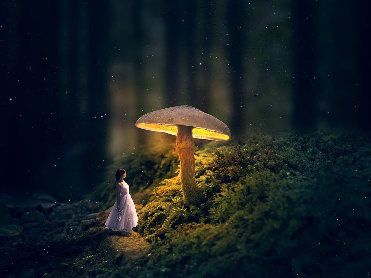 Ethereal Landscapes